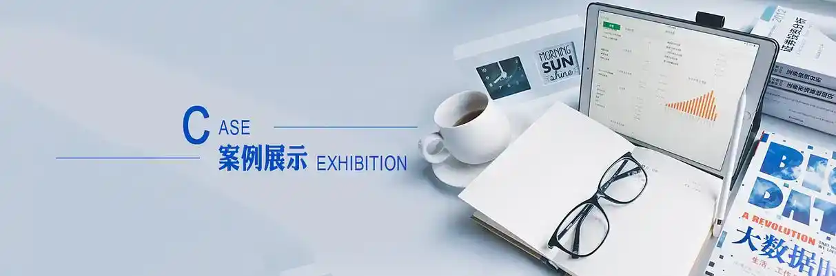 洞头县软件开发